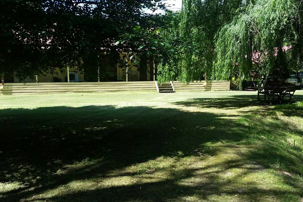 Back lawn next to river