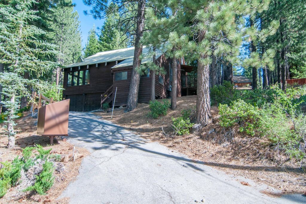 Yard,Building,Cottage,Fir,Tree