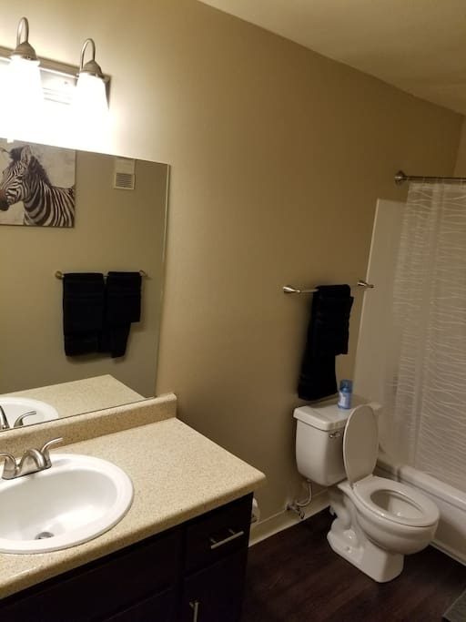 Very ample bathroom with toiletries available