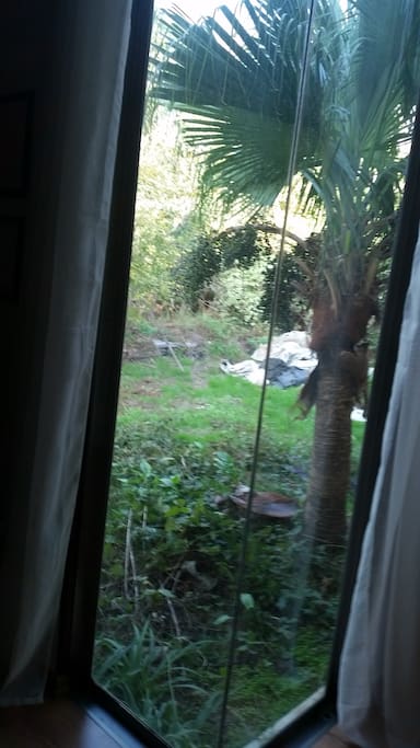 Window from the room