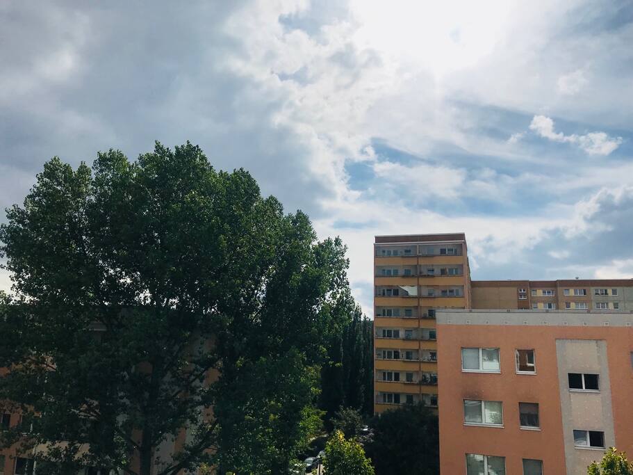Blick frontal vom Balkon.