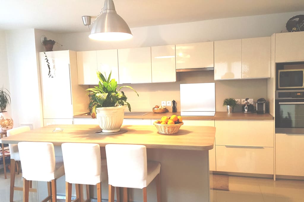 Kitchen opened on the living room with a direct access to the private terrace