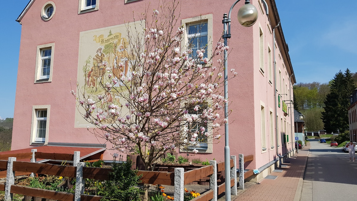 A pink-walled building showcases a mural depicting local culture. In front, a blooming magnolia tree adds a touch of nature. A wooden fence encloses the garden area, which features a variety of seasonal flowers. A pathway leads alongside the structure, inviting visitors to explore.