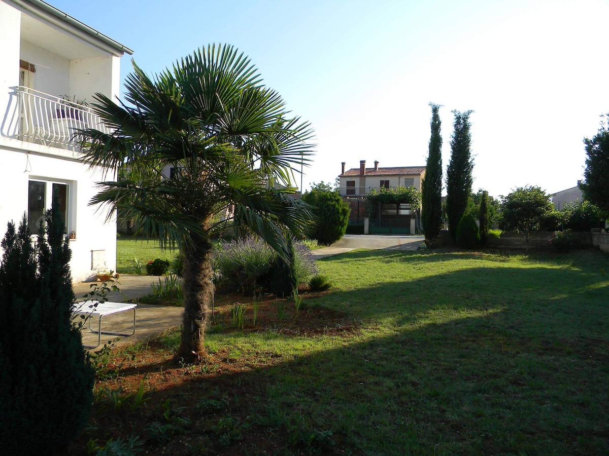 A well-maintained garden is visible, featuring a palm tree and manicured shrubs. The spacious lawn is surrounded by various greenery, creating a tranquil environment. Sunlight casts soft shadows across the area, enhancing the peaceful outdoor setting.