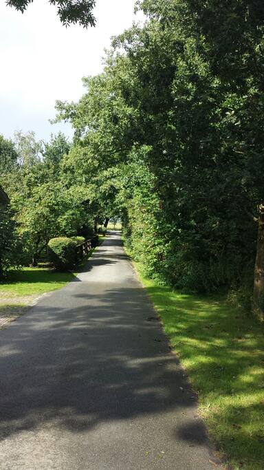 Der Weg zum Haus