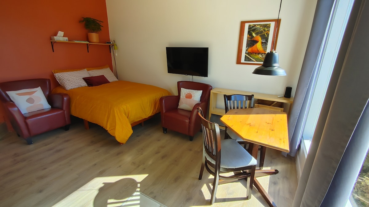 The studio features a cozy sleeping area with a double bed, flanked by two red chairs. A small wooden dining table with a chair is positioned nearby. A wall-mounted smart TV is visible, along with vibrant wall art and a shelf with greenery.