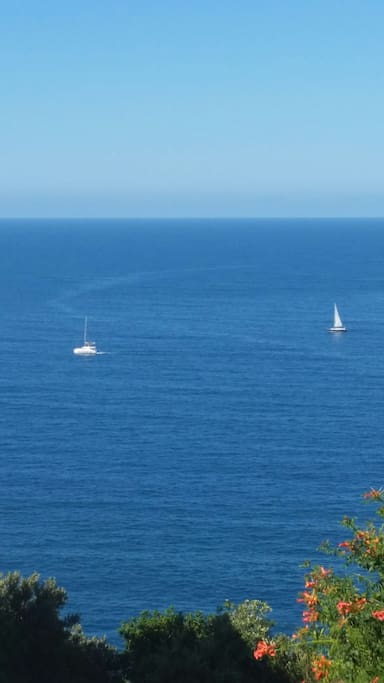 you get to see this from the terrace