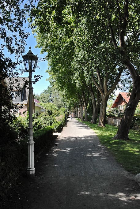 Süderwall in Esens, idyllische ruhige Lage im Stadtzentrum
