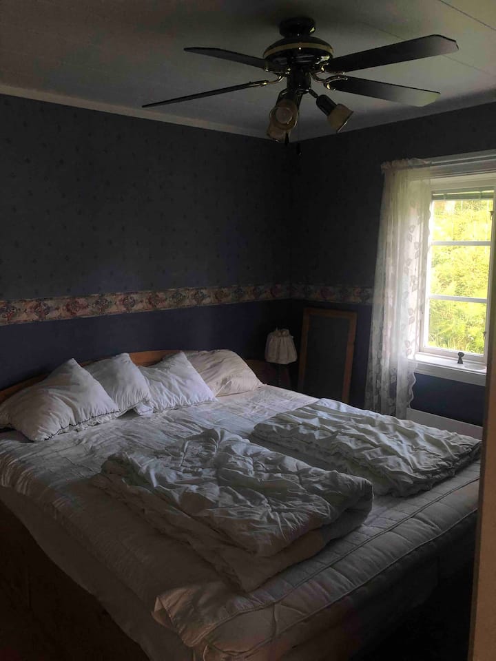 საძინებელი 1