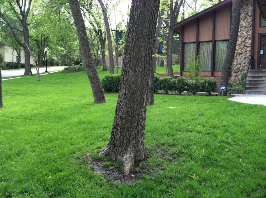 View of front yard.