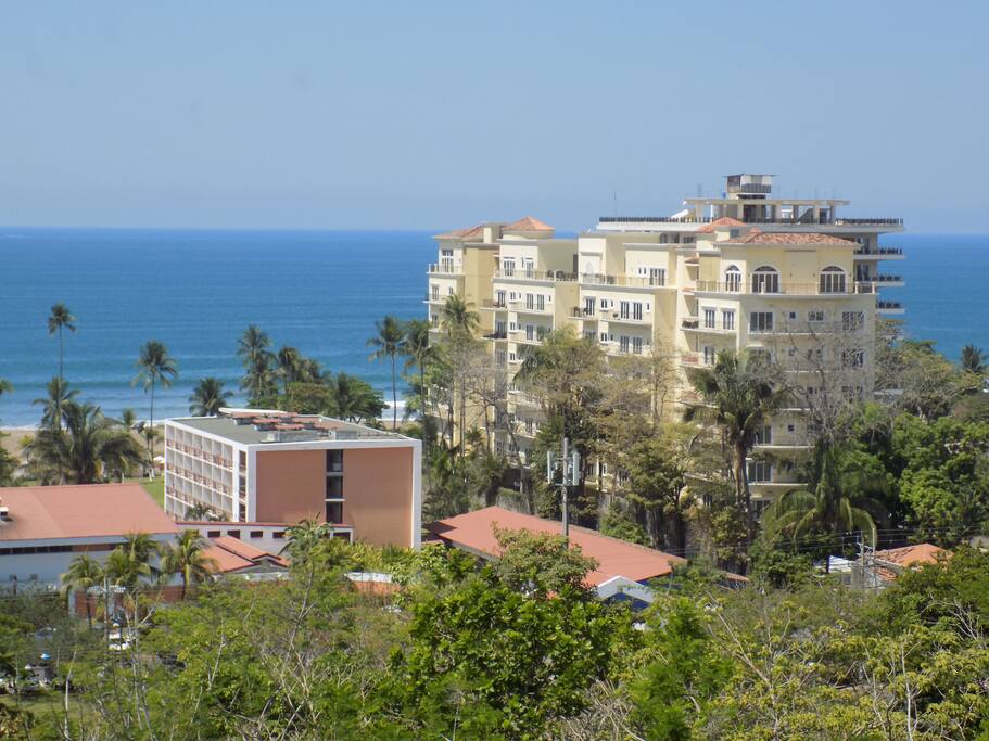 That view!