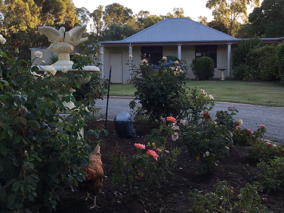 This picture looks out onto the front of the cottage showing a glimpse of the gardens.