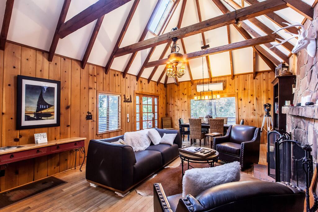 Comfortable living room with leather furniture