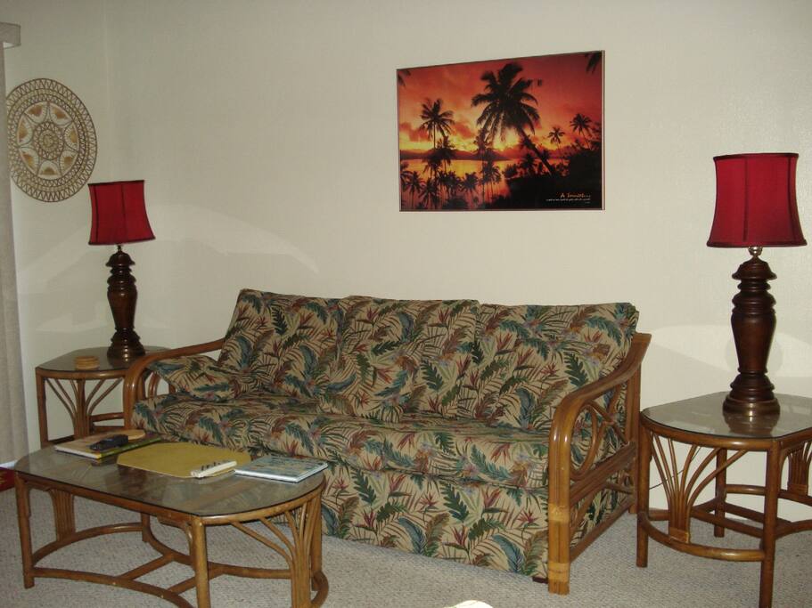 Sleeper sofa in living room.