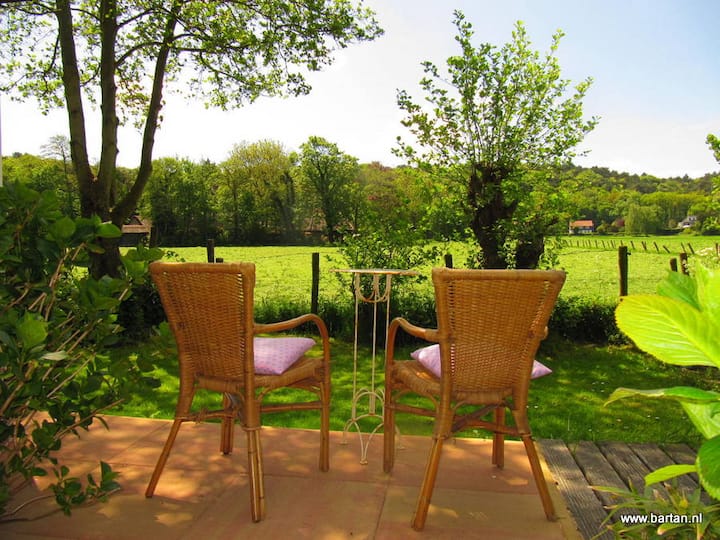 Romantic Cottage Surrounded By Grasslands & Dunes - Niederlande