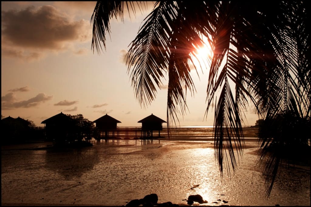 LooLa chalets at low tide