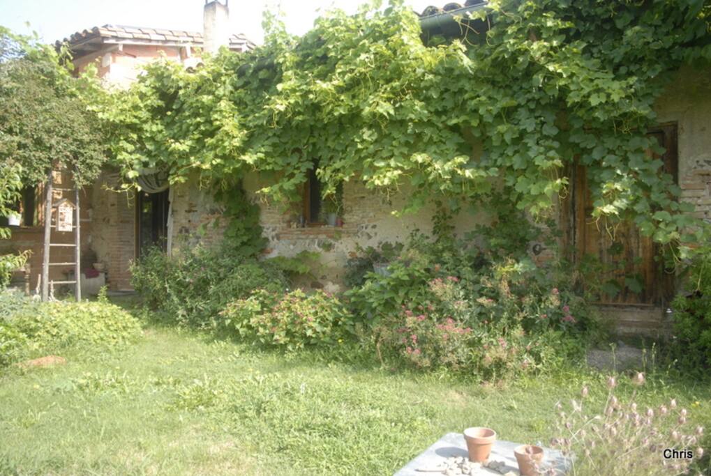 Façade plein sud bien ombragée par la végétation