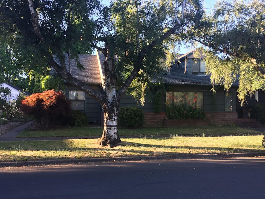 Here's the exterior of the house. You follow the path on the left to your very private and quiet studio apartment.