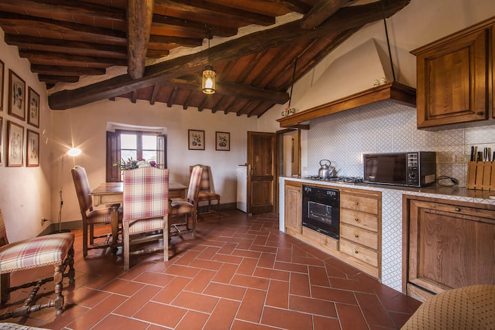 Frantoio Apartament In Volpaia - Monti del Chianti