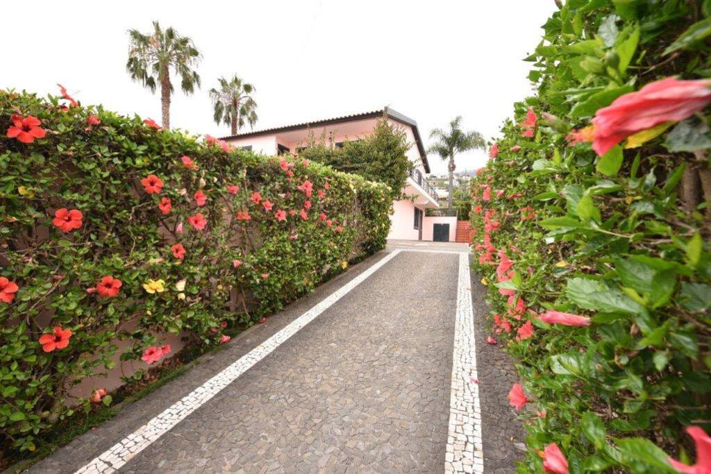 Entrada