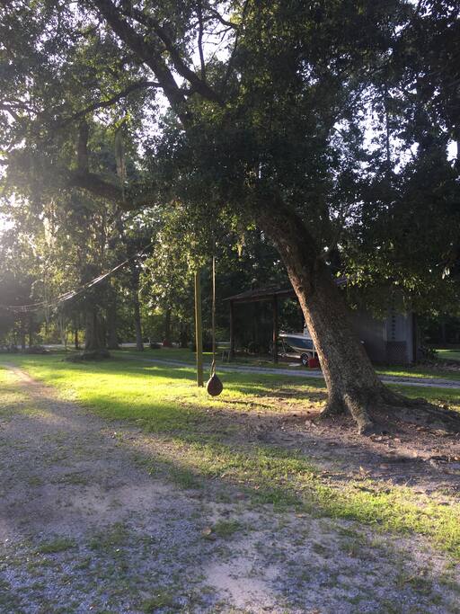 Road entering
Cottage