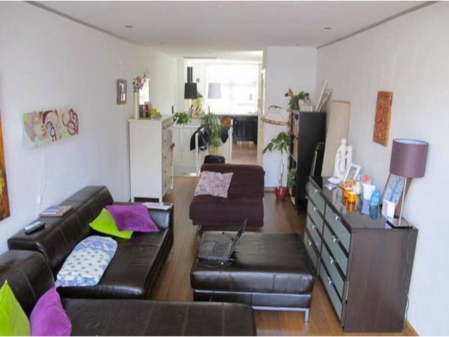 Living room and kitchen (new appliances)