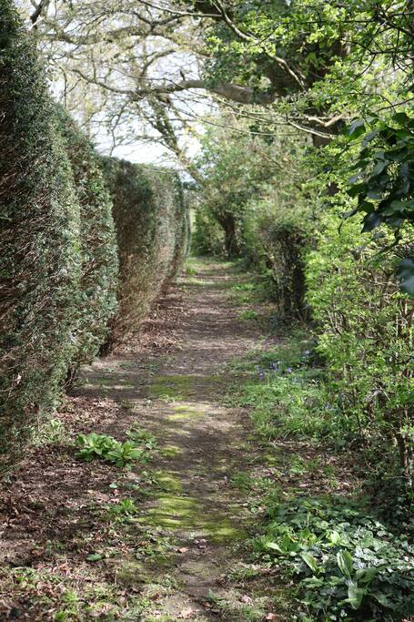 The path from parking to the house