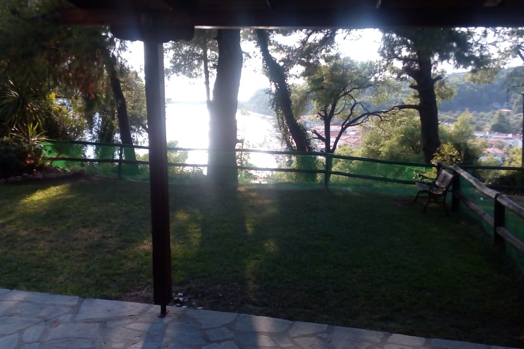 View from the garden