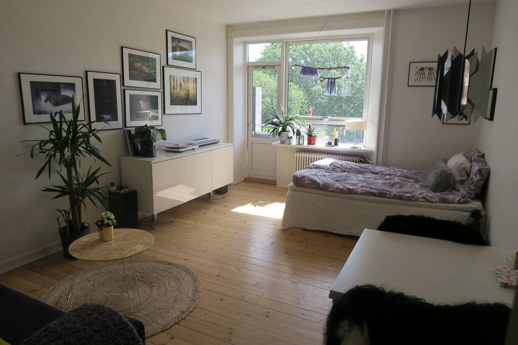 Bedroom/Living room