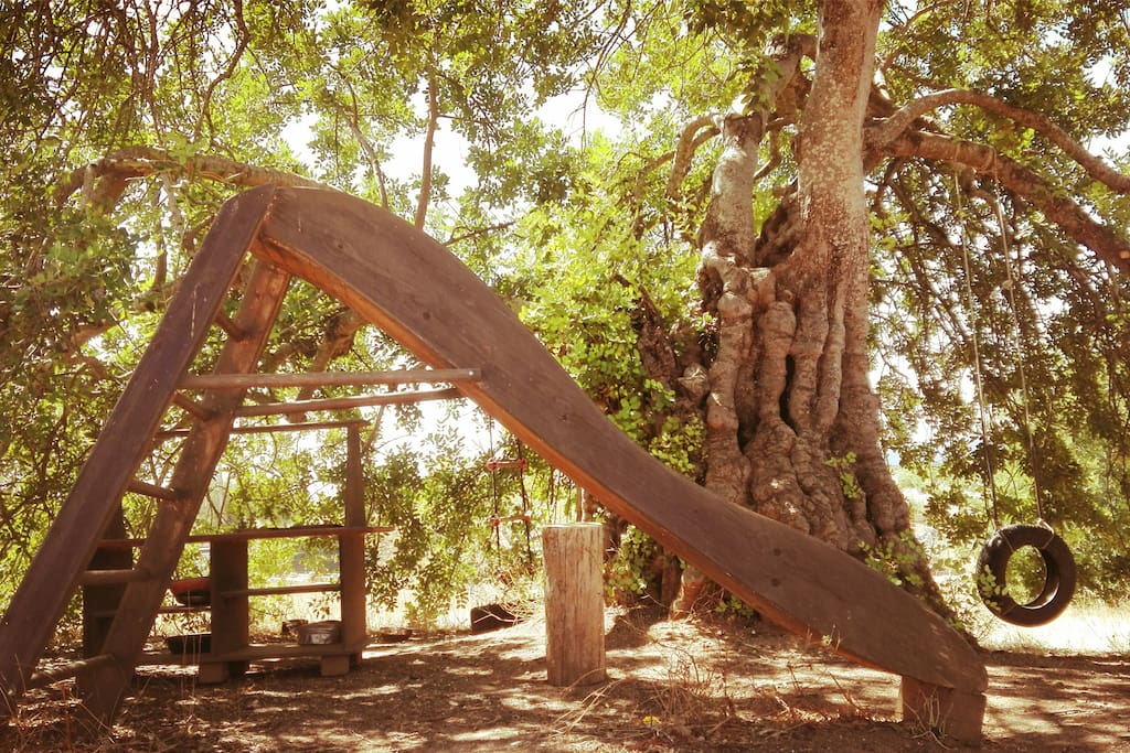 Playground tree