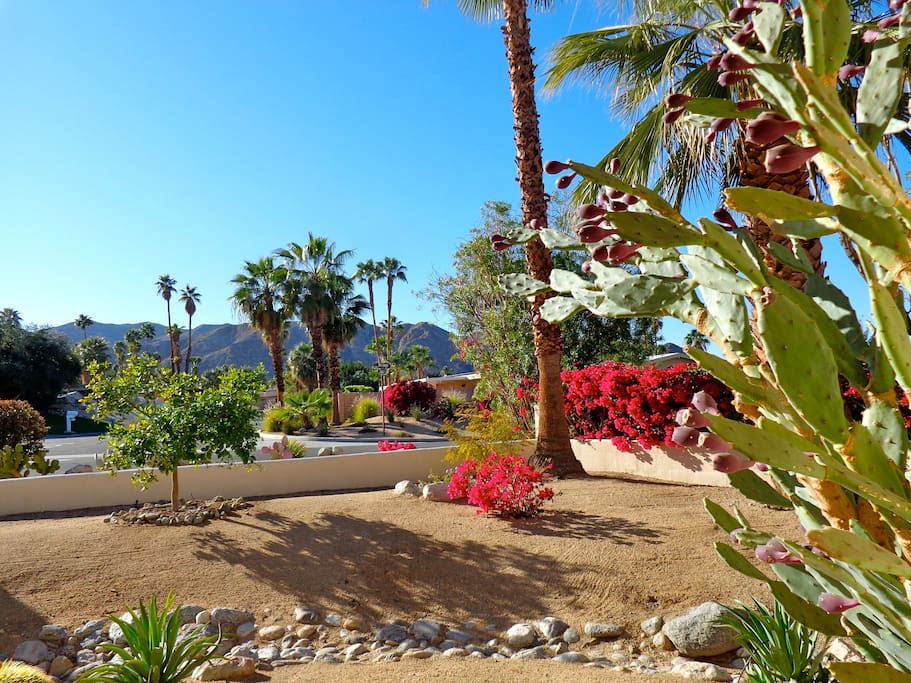 Lush landscaping outside the home showing amazing mountain views as you walk out the door.