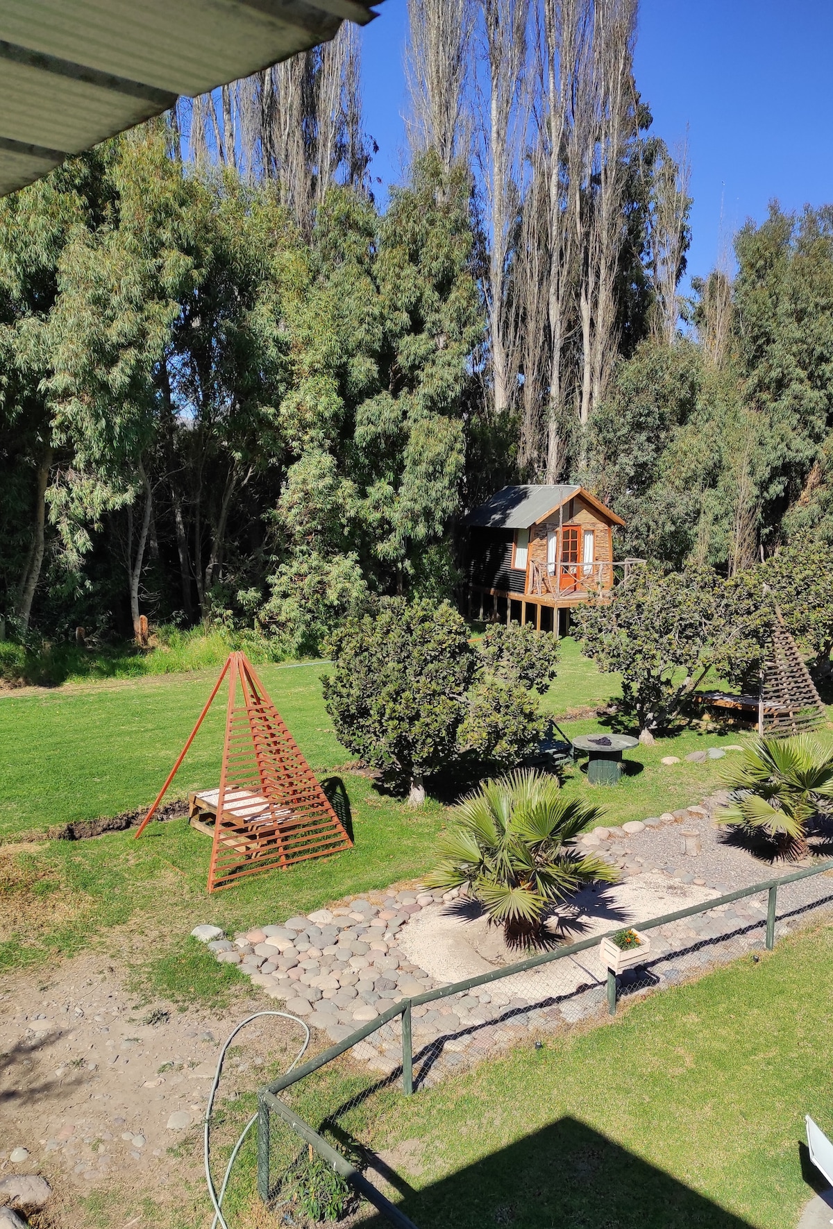 A modern wooden cabin is set amidst lush greenery, surrounded by tall trees. The spacious yard features a stone path, a shaded seating area, and a unique triangular frame that adds character to the landscape. Sunlight filters through the trees, creating a serene atmosphere.
