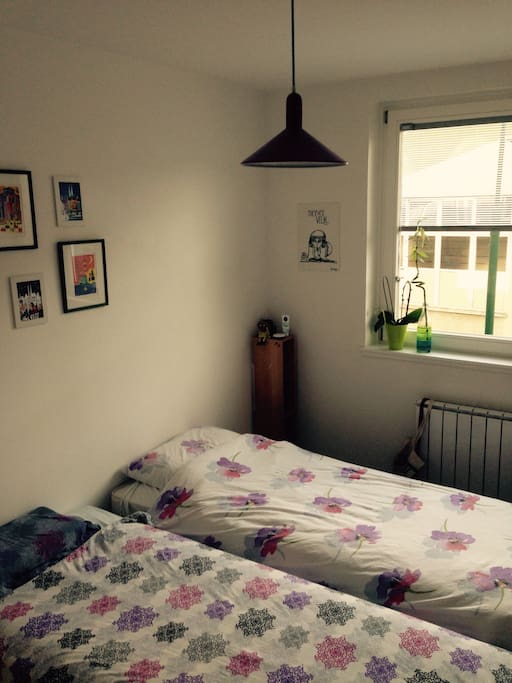 Two comforable beds in this sunny, bright-colored room with enough space to put all your things