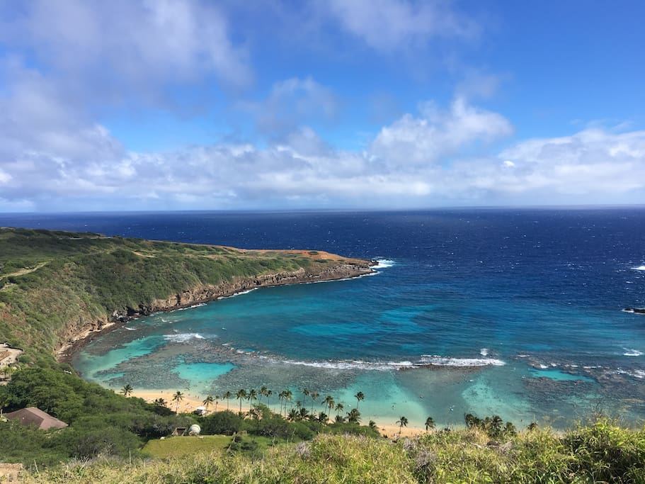 15 minute drive to one of the best snorkeling spot Hanauma Bay!