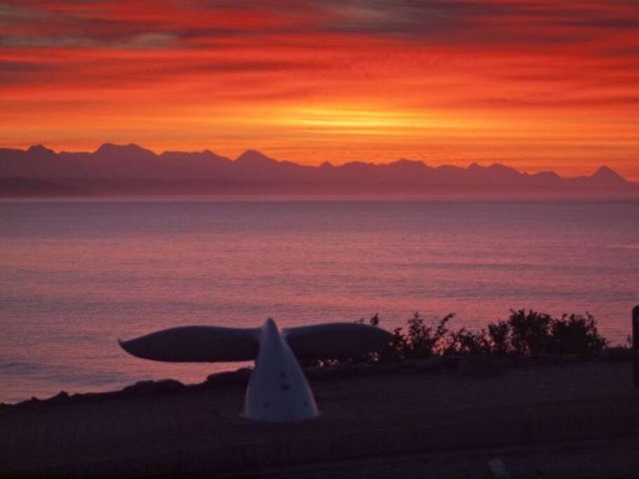 50 metres down to the end of our Cul de Sac, the Whale Tail with panoramic views of the Bay. A perfect place for quiet reflection!