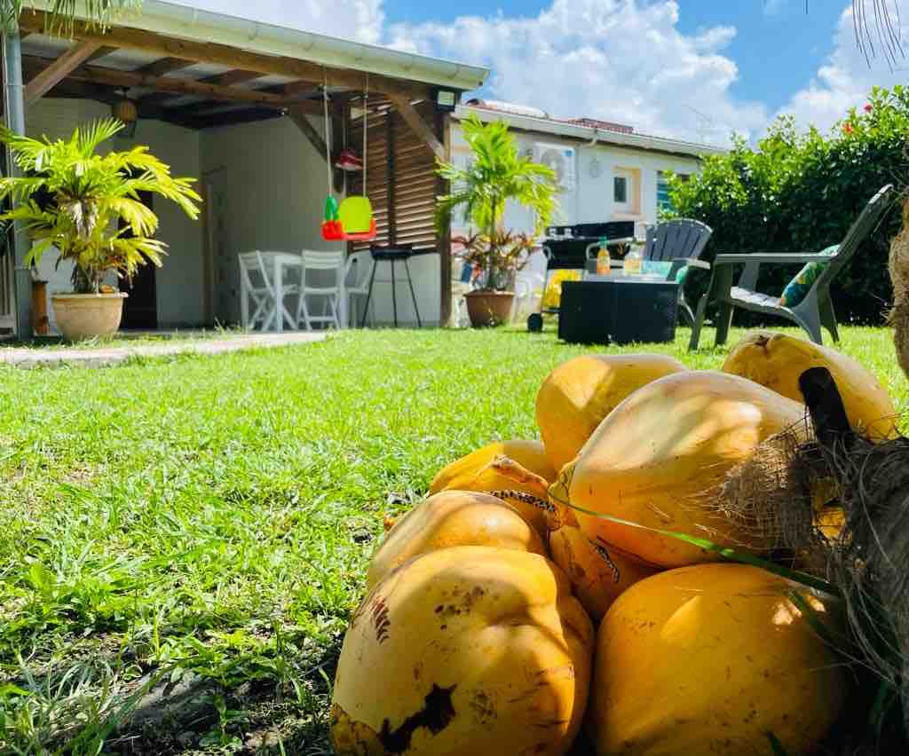 A lush green yard features a cluster of yellow coconuts resting on the grass. In the background, a covered patio area is visible, equipped with white furniture and surrounded by tropical plants. A blue sky dotted with clouds completes the serene outdoor setting.