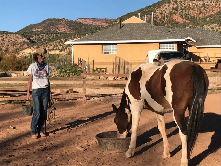 The horses are happy and Love attention.