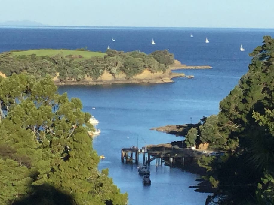 Watching the Coastal Classic yacht race flying past from our lounge.