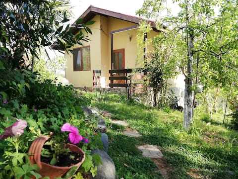 Yellow villa Sinemorets