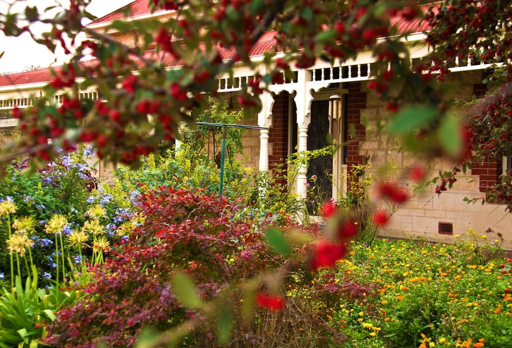 Front garden