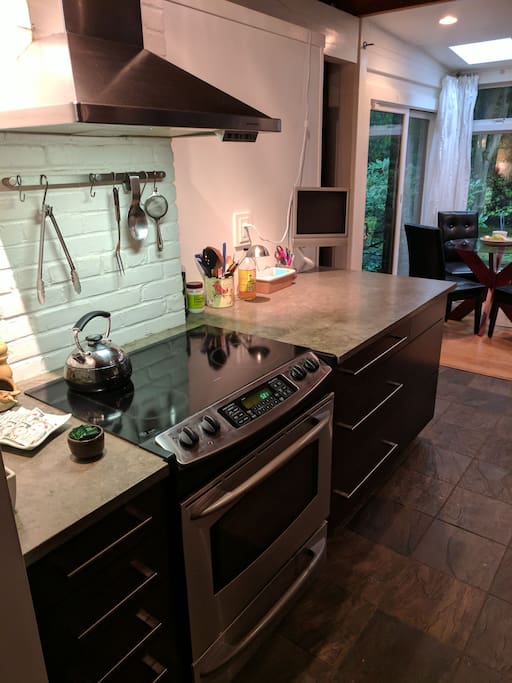 Left side counter with stove, hood vent with convection oven.