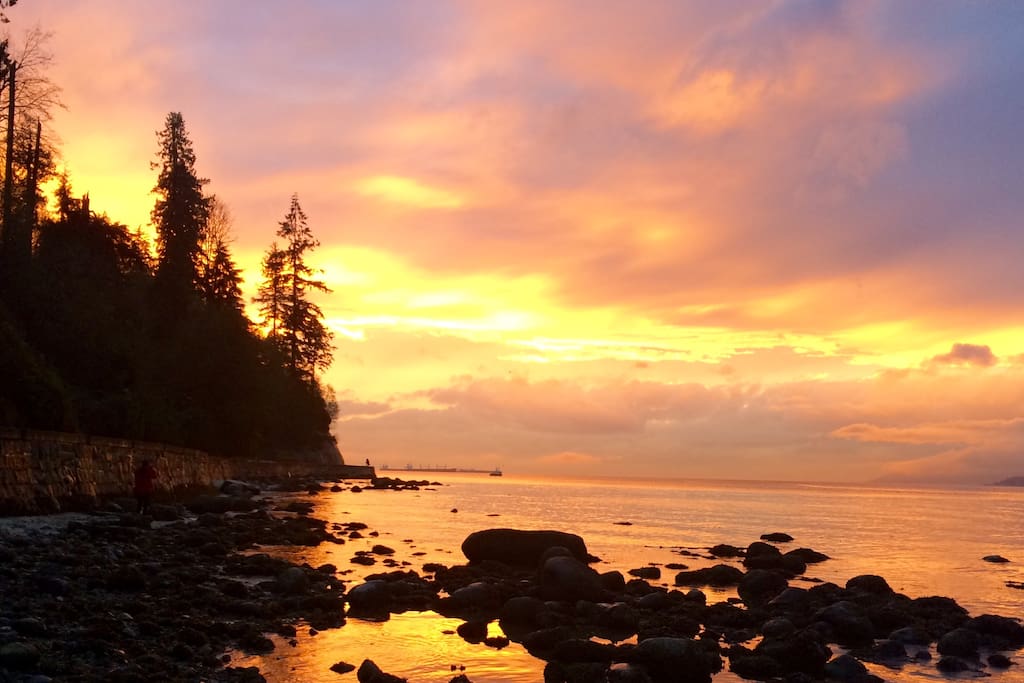 Sea wall walk around Stanley Park. (Access to sea wall via Sunset beach a 1 min walk from apartment)