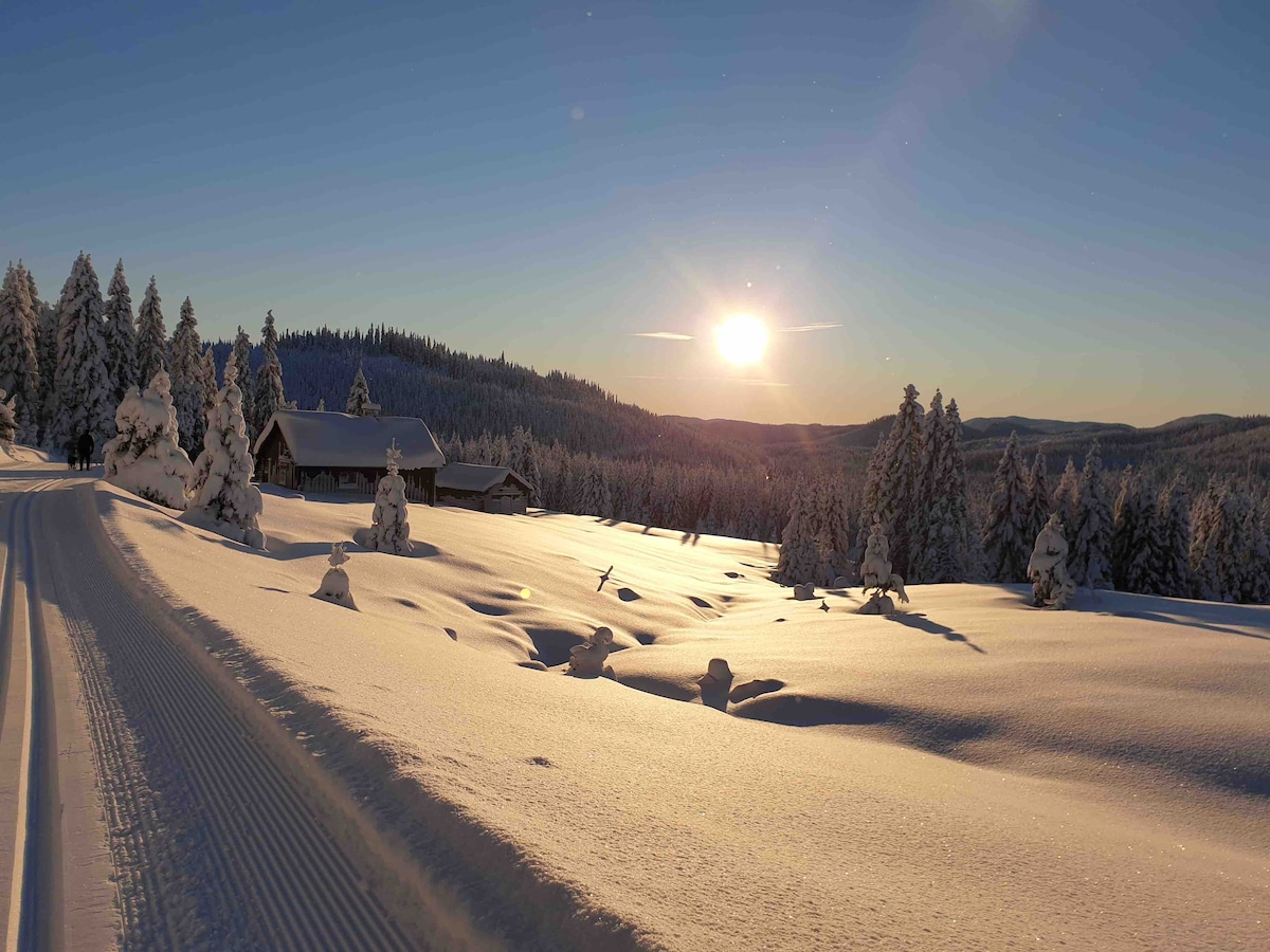 A snowy landscape is displayed, with a winding path leading through a blanket of fresh snow. Sunlight reflects off the surface, creating a serene atmosphere. In the background, trees and distant buildings are partially visible, surrounded by undulating snow-covered hills.