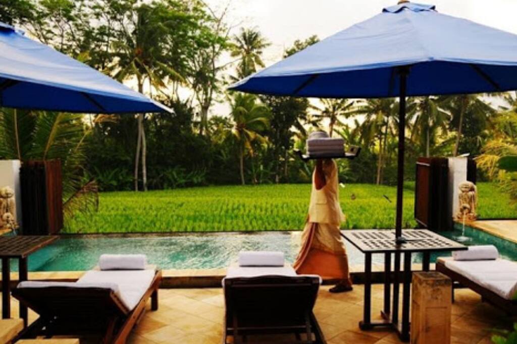 Pool View.
