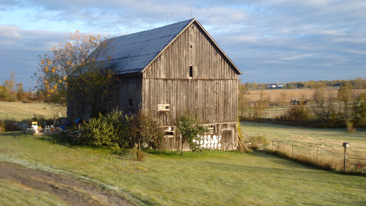 A weathered barn stands surrounded by open fields, showcasing a rustic wooden exterior. A lush green lawn leads up to the structure, with scattered trees and shrubs nearby. The sky appears vast and partially cloudy, complementing the serene countryside setting.