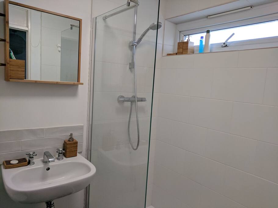 Private bathroom with walk-in shower.