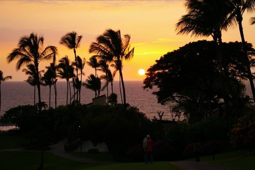 The Sunset from the patio