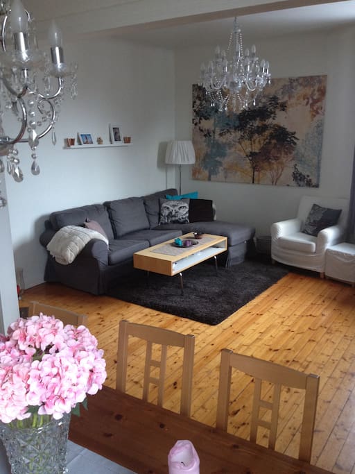 Comfortable livingroom