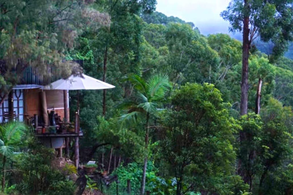 Immerse yourself in the middle of the jungle