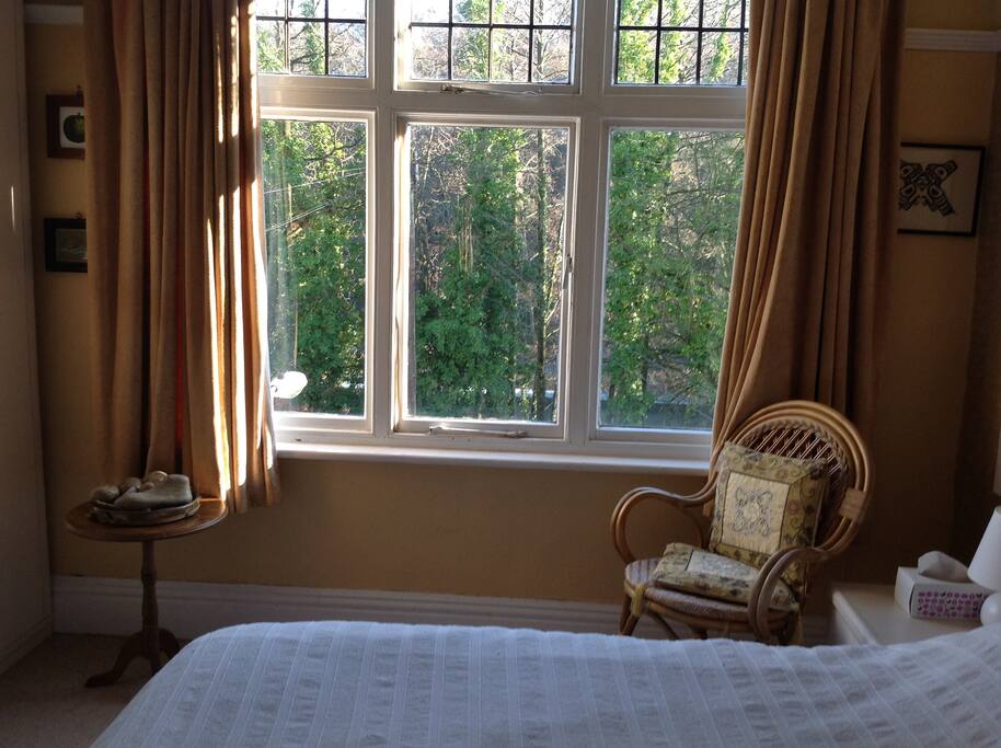 Large comfortable room